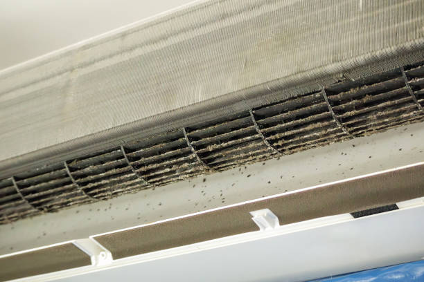 Best Dryer Vent Cleaning in Monticello, MS